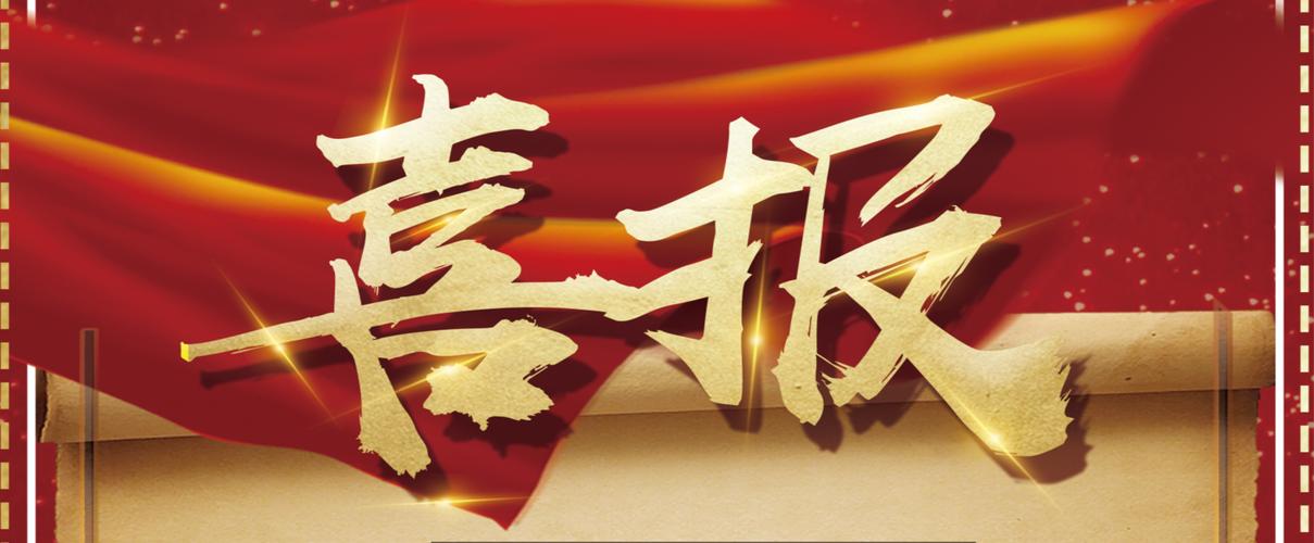 精准蜘蛛池